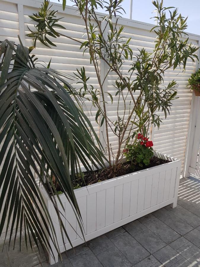 Citrus Boutique Hotel Баку Екстер'єр фото